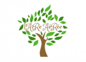 Atelier Flash code