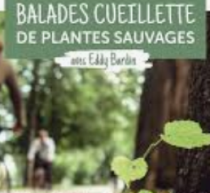 Balade cueillette