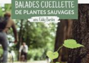 Balade cueillette